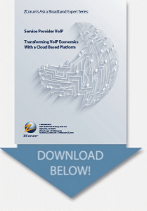 voip white paper