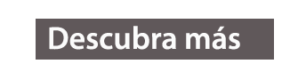 NetVizion Spanish Slider Text 1