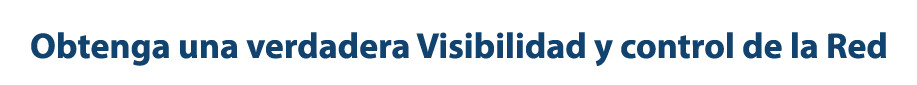 NetVizion Spanish Slider Header Text