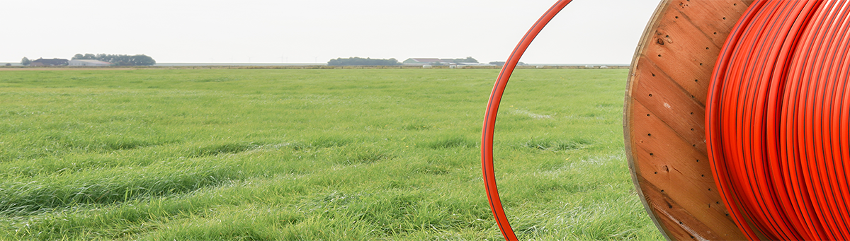 Broadband Grant Header Revised