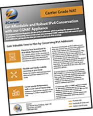 CGNAT Appliance Product Sheet Thumbnail Tilted 