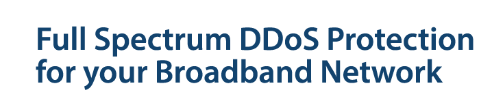 DDoS Microsite Slider Header Text