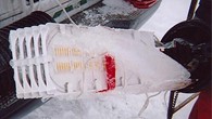 ice crush fiber blog image