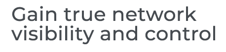 NetVizion Microsite Slider Gain Visibility Text