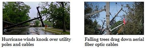 tree utility pole storm