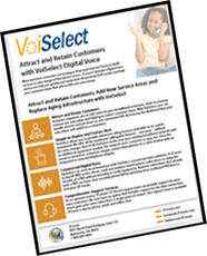 VoiSelect Residential Product Sheet Thumbnail Tilted Updated